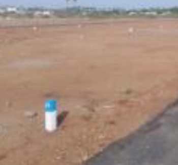 2 Acre Residential Plot for Sale in Thachanallur, Tirunelveli