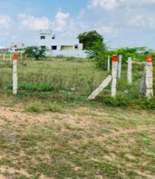 12 Acre Residential Plot for Sale in Thachanallur, Tirunelveli