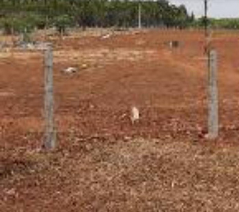 Agricultural/Farm Land for Sale in Thondamuthur, Coimbatore (1 Acre)