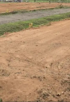 Residential Plot for Sale in Kinathukadavu, Coimbatore (16.85 Acre)