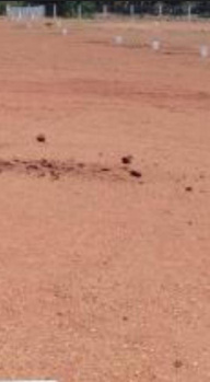 10 Acre Commercial Lands /Inst. Land for Sale in Thachanallur, Tirunelveli