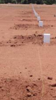 Property for sale in Thachanallur, Tirunelveli