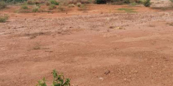 60 Cent Commercial Lands /Inst. Land for Sale in Melapalayam, Tirunelveli