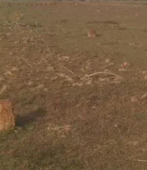 2 Acre Residential Plot for Sale in Ayikudi, Tirunelveli