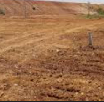 128 Acre Commercial Lands /Inst. Land for Sale in Thachanallur, Tirunelveli
