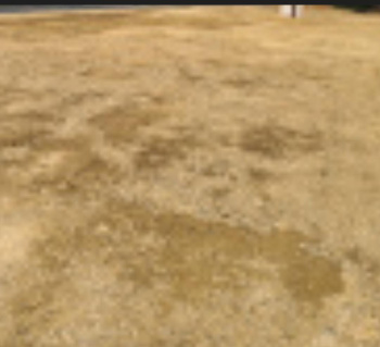 7 Acre Residential Plot for Sale in NGO Colony, Tirunelveli