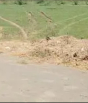 Commercial Lands /Inst. Land for Sale in Kolathur, Chennai (14400 Sq.ft.)