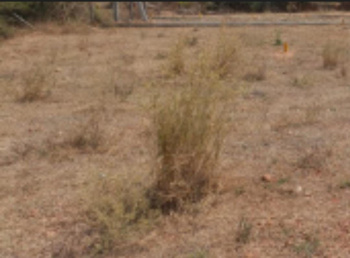 Commercial Lands /Inst. Land for Sale in Valasaravakkam, Chennai (30000 Sq.ft.)