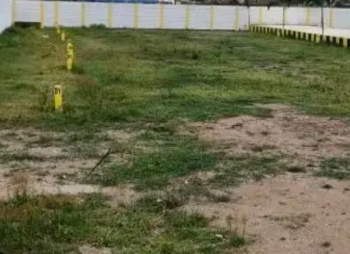 Residential Plot for Sale in Chennai (12000 Sq.ft.)