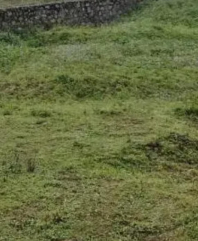 Residential Plot for Sale in Kodaikanal, Dindigul (17 Cent)