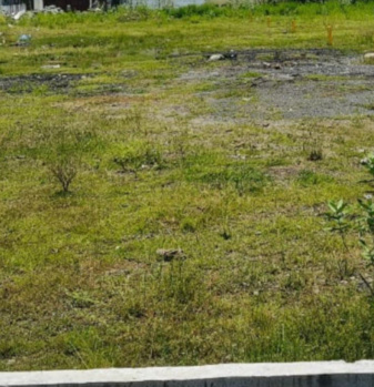 Commercial Lands /Inst. Land for Sale in Kilpauk, Chennai (3655 Sq.ft.)