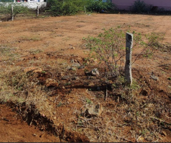 11 Cent Residential Plot for Sale in Vallioor, Tirunelveli