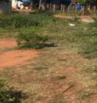 15 Cent Commercial Lands /Inst. Land for Sale in Melapalayam, Tirunelveli