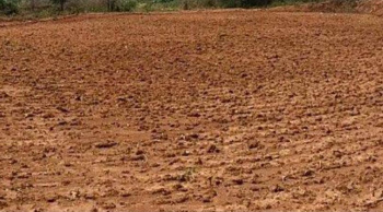 8 Sq. Meter Agricultural/Farm Land for Sale in Navalurkottapattu, Tiruchirappalli