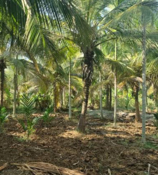 1.70 Acre Agricultural/Farm Land for Sale in Sengalipalayam, Coimbatore