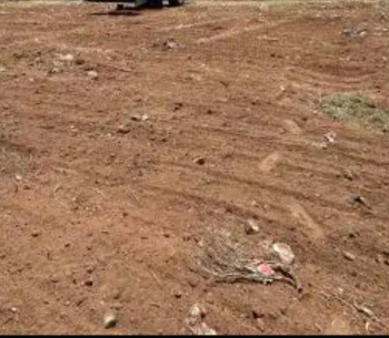 83 Cent Commercial Lands /Inst. Land for Sale in Avinashi Road, Coimbatore