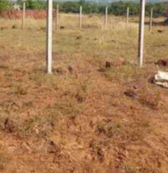 Commercial Lands /Inst. Land for Sale in Gopalasamudram, Tirunelveli (44 Cent)