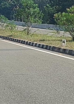 2.25 Acre Commercial Lands /Inst. Land for Sale in Thachanallur, Tirunelveli