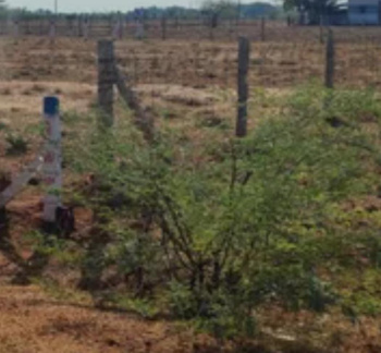 Commercial Lands /Inst. Land for Sale in Tirunelveli (15 Cent)