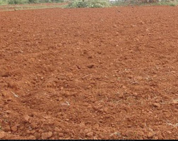 478 Acre Commercial Lands /Inst. Land for Sale in Thondi, Ramanathapuram