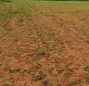 Commercial Lands /Inst. Land for Sale in Ponnamaravathi, Pudukkottai (30 Acre)