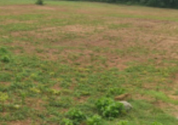 Agricultural/Farm Land for Sale in Thondamuthur, Coimbatore (77 Cent)