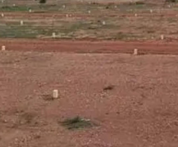 Commercial Lands /Inst. Land for Sale in Nerkundram, Chennai (2624 Sq.ft.)