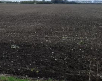 Commercial Lands /Inst. Land for Sale in Karungulam, Thoothukudi (350 Acre)