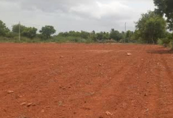 200 Acre Agricultural/Farm Land for Sale in Perumalpuram, Tirunelveli
