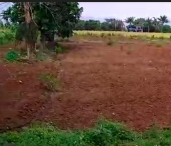 Agricultural/Farm Land for Sale in Dharapuram, Tirupur (8 Acre)