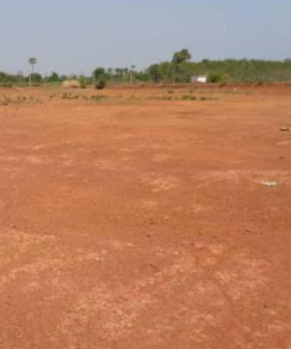 Agricultural/Farm Land for Sale in Thondamuthur, Coimbatore (7 Acre)