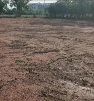 11 Acre Residential Plot for Sale in Tenkasi, Tirunelveli