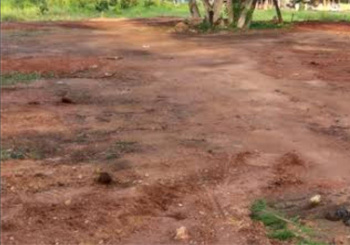 Residential Plot for Sale in Teachers Colony, Tirunelveli (8 Cent)