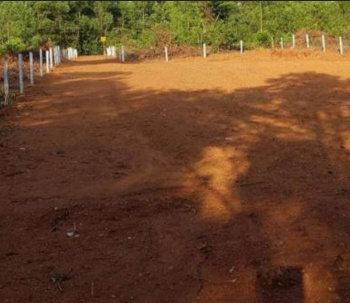 Commercial Lands /Inst. Land for Sale in Palayamkottai, Tirunelveli (5.5 Cent)