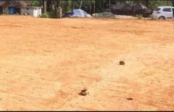 Residential Plot for Sale in Oragadam, Chennai (1 Acre)