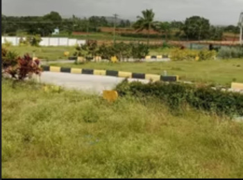 24 Acre Residential Plot for Sale in Achettipalli, Hosur