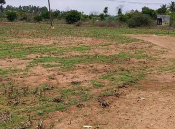 Residential Plot for Sale in Tirunelveli (11 Acre)