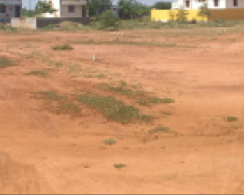 Residential Plot for Sale in Taruvai, Tirunelveli (19 Acre)