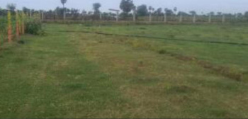 Commercial Lands /Inst. Land for Sale in Tirunelveli (21 Cent)