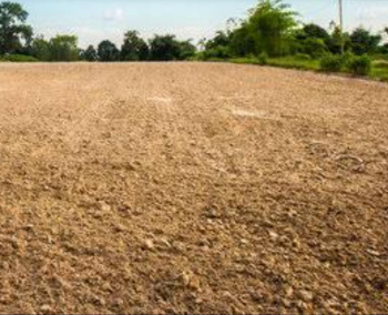 Commercial Lands /Inst. Land for Sale in Puliampatti, Erode (3 Acre)