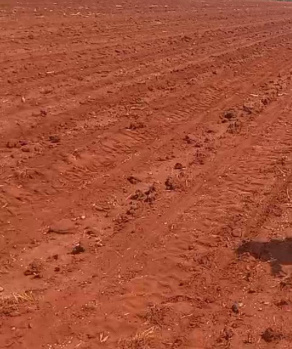 Agricultural/Farm Land for Sale in Sankarankoil, Tirunelveli (60 Acre)