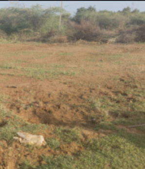 Commercial Lands /Inst. Land for Sale in Panayur, Chennai (17 Acre)