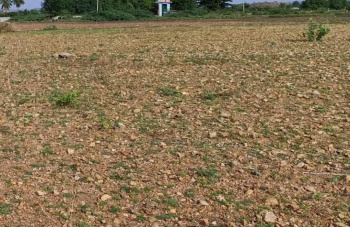 Residential Plot for Sale in Avadi, Chennai (5 Acre)