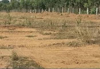 Residential Plot for Sale in Taruvai, Tirunelveli (3.75 Acre)