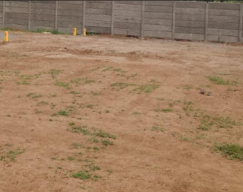 2.5 Acre Residential Plot for Sale in Thirukarungudi, Tirunelveli