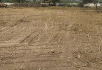 Property for sale in T Nagar, Chennai