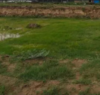 Residential Plot for Sale in Thirukarungudi, Tirunelveli (2.36 Acre)