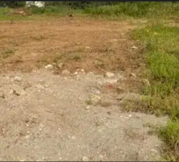 Residential Plot for Sale in NGO Colony, Tirunelveli (1.5 Acre)