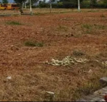 Residential Plot for Sale in NGO Colony, Tirunelveli (10 Cent)