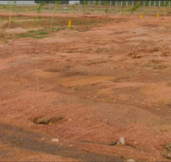 Residential Plot for Sale in Krishnapuram, Tirunelveli (2 Acre)